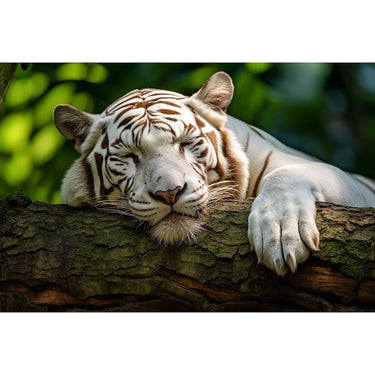 White Tiger Painting